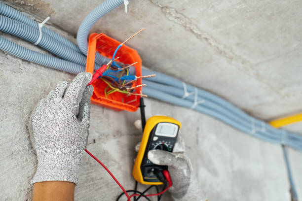 Best Electric Panel Repair  in Ranchettes, WY